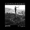 Cinnamon Road - Compuphonic
