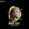 Niek Leg (Original Mix) - Desty Rush