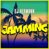 Jamming (Instrumental) - DJ Hermann