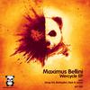 Wercycle (Nick K remix) - Maximus Bellini&Nick K