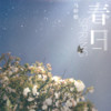 春日 - 马梓皓