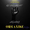 ORGANISE MIXTAPE (feat. Asake) - DJ SOULBEAT&Asake