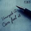 Can Feel It (Original Mix) - Vinayak A