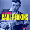 Blue Suede Shoes - Carl Perkins