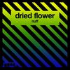 Nuff - Dried Flower