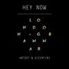 Hey Now - Antdot&Vicentini