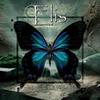Perfect Love - Elis