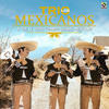 Tú Estabas Conmigo - Trio Los Mexicanos