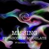 Missing (Original Mix) - Petruccio&Modulate&Marie Louise