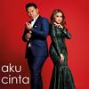 Aku Cinta - Syamel&Ernie Zakri