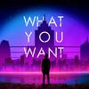 What You Want - YoungPaine