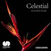 Celestial - Satoshi Fumi