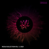 Starfall (Terra V Extended Remix) - Brent Rix&Terra V
