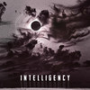 Muzika - Intelligency