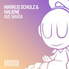 Ave Maria (Extended Festival Mix) - Markus Schulz&HALIENE