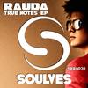 True Notes (Original Mix) - Rauda