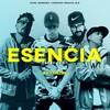 Esencia (Mambo Remix) - Haze&M.e.&Yiordano Ignacio&Barroso