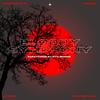 Bloody Symphony(feat. AFgam) (Explicit) - Cristopolis&AFgam