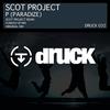 P(Paradize) (Scot Project Remix) - Scot Project