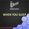 When You Sleep - 8 Hertz&Schelmanoff