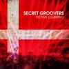 Resident Evil - Secret Groovers