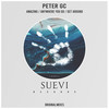 Anywhere You Go (Original Mix) - Peter GC