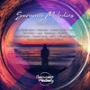 Voyage (Original Mix) - aNPC&Vincent Zauhar