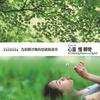 花舞 - 杨锦聪