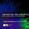 Harvest for the World, Pt. 2 (David Harness for the World Remix) - Groove Junkies&Reelsoul&David Harness&Nichelle Monroe