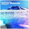 Synthetic (Original Mix) - Vilius J