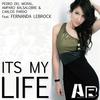 It's My Life (Radio Edit) - Pedro del Moral&Fernanda Lebrock