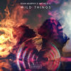 Wild Things (Extended Mix) - Sean Murphy&Michele C