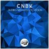 Burning Skies (Acoustic Version) - CNBK