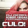 Culo! (Radio Edit) - DJ Rebel&Robert Abigail&MO南夕