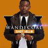 Baby Hello - Wande Coal