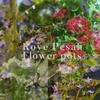 Flower pots - Roy Pesah