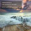 The Waves Of The Sea (Jarvith Bhaut Perz Remix) - Trancephile&Jarvith Bhaut Perz