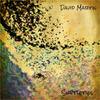 Straw That Breaks Your Back - David Martin