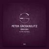 Perform (Miro Pajic Remix) - Peter Groskreutz