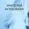 White Fox in the Snow - Grapell