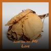 My Foolish Heart - Bill Bell Trio