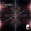 Other 01 (Original Mix) - Cicuendez