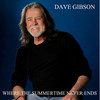 Where the Summertime Never Ends - Dave Gibson