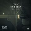 Praise (Aitor Ronda Remix) - Ed is Dead