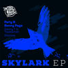 Skylark (Benny Page remix) - Parly B&Benny Page