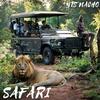 Safari - YTS Nacho