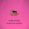 Shattered Dreams (Radio Mix) - Andy Craig