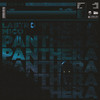 Panthera - Laštro&MICO