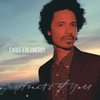 House at the End of the Road - Eagle-Eye Cherry