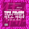 Tipo Falcão Que Não Assume a Mel Maia (Explicit) - MC PRB&Dj Aurélio&MC Davi CPR&DJ PIETRO DA ZN